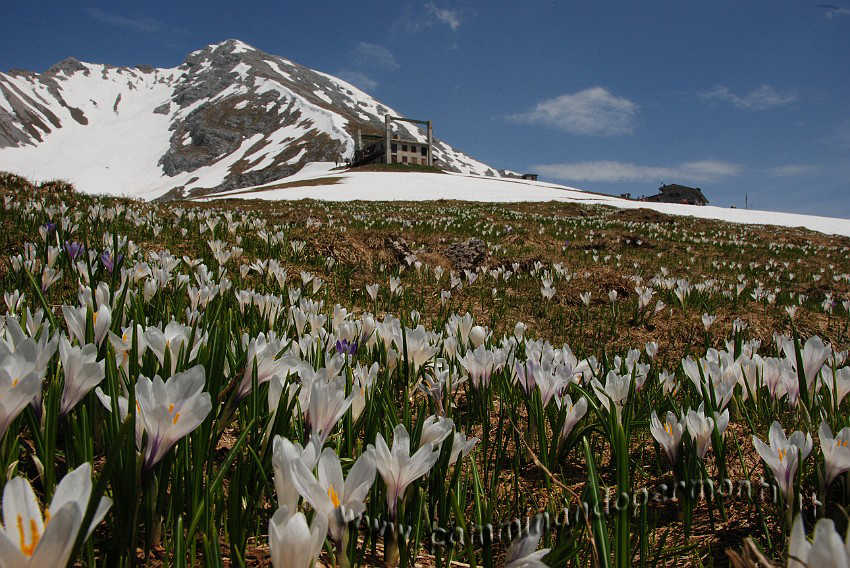 37 Sentiero Rifugio Capanna 2000.JPG